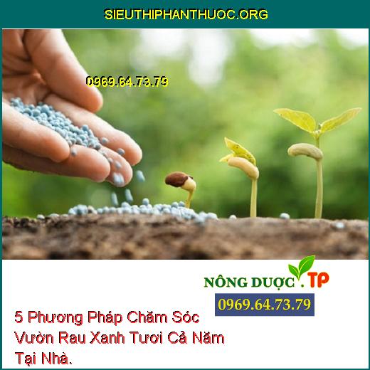 5 Phương Pháp Chăm Sóc Vườn Rau Xanh Tươi Cả Năm Tại Nhà.