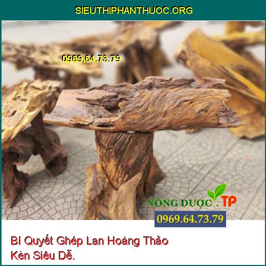 Bí Quyết Ghép Lan Hoàng Thảo Kèn Siêu Dễ.