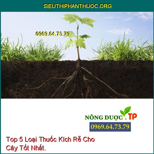 Top 5 Loại Thuốc Kích Rễ Cho Cây Tốt Nhất.