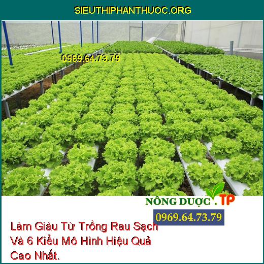 Làm Giàu Từ Trồng Rau Sạch Và 6 Kiểu Mô Hình Hiệu Quả Cao Nhất.