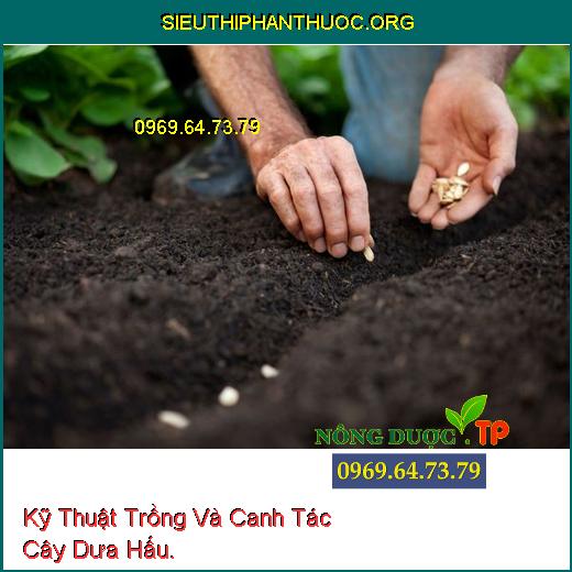 Kỹ Thuật Trồng Và Canh Tác Cây Dưa Hấu.