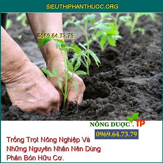 Trồng Trọt Nông Nghiệp Và Những Nguyên Nhân Nên Dùng Phân Bón Hữu Cơ.