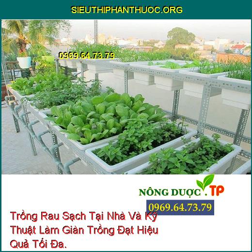 Trồng Rau Sạch Tại Nhà Và Kỹ Thuật Làm Giàn Trồng Đạt Hiệu Quả Tối Đa.