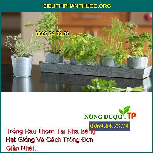 Trồng Rau Thơm Tại Nhà Bằng Hạt Giống Và Cách Trồng Đơn Giản Nhất.