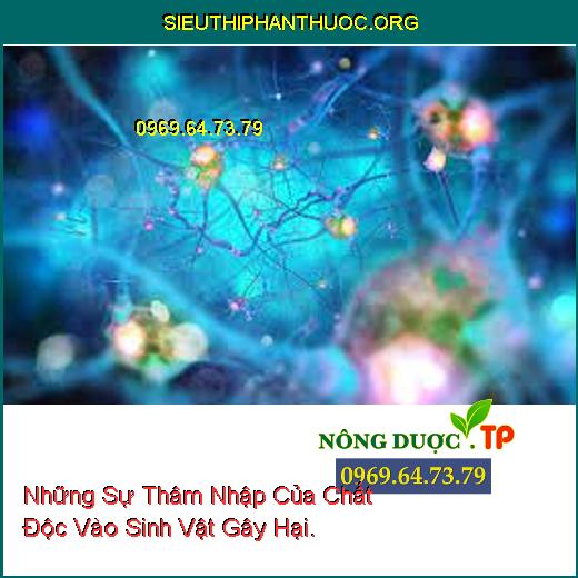 Những Sự Thâm Nhập Của Chất Độc Vào Sinh Vật Gây Hại.