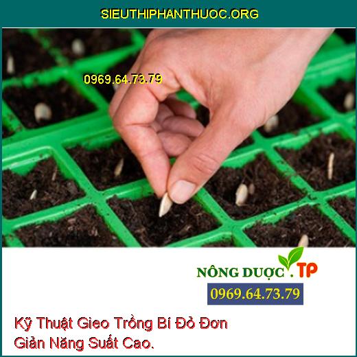 Kỹ Thuật Gieo Trồng Bí Đỏ Đơn Giản Năng Suất Cao.