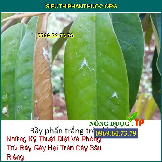 Những Kỹ Thuật Diệt Và Phòng Trừ Rầy Gây Hại Trên Cây Sầu Riêng.