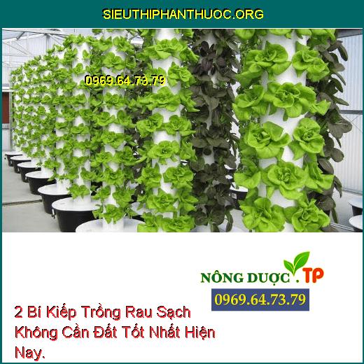 2 Bí Kiếp Trồng Rau Sạch Không Cần Đất Tốt Nhất Hiện Nay.