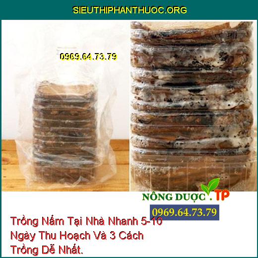 Trồng Nấm Tại Nhà Nhanh 5-10 Ngày Thu Hoạch Và 3 Cách Trồng Dễ Nhất.