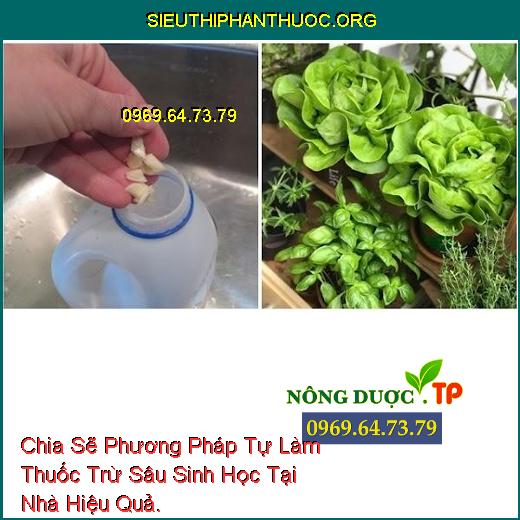 Chia Sẽ Phương Pháp Tự Làm Thuốc Trừ Sâu Sinh Học Tại Nhà Hiệu Quả.