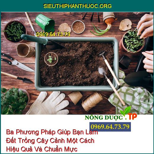 Làm đất trồng cây cảnh tại nhà giản đơn