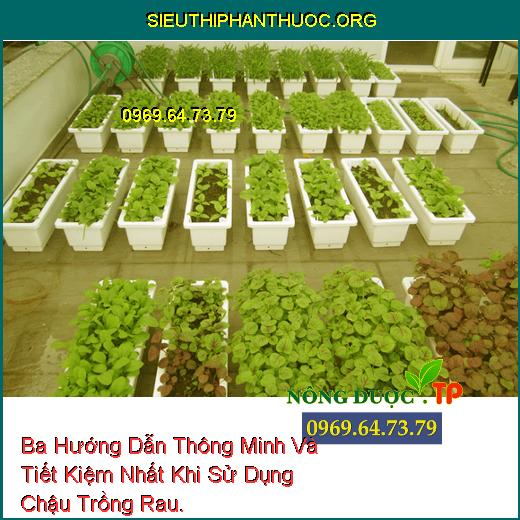 Ba Hướng Dẫn Thông Minh Và Tiết Kiệm Nhất Khi Sử Dụng Chậu Trồng Rau.