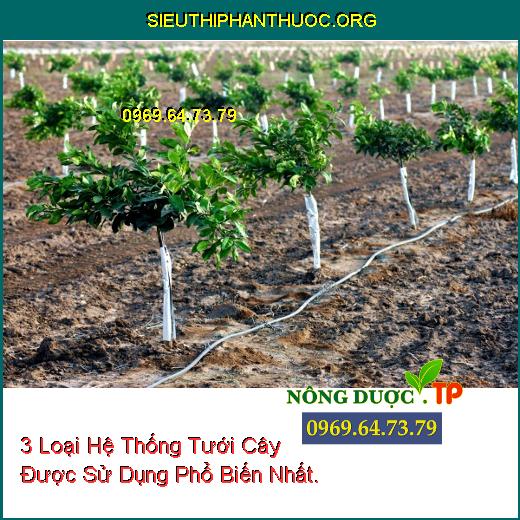 3 Loại Hệ Thống Tưới Cây Được Sử Dụng Phổ Biến Nhất.