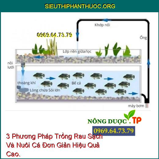 3 Phương Pháp Trồng Rau Sạch Và Nuôi Cá Đơn Giản Hiệu Quả Cao.