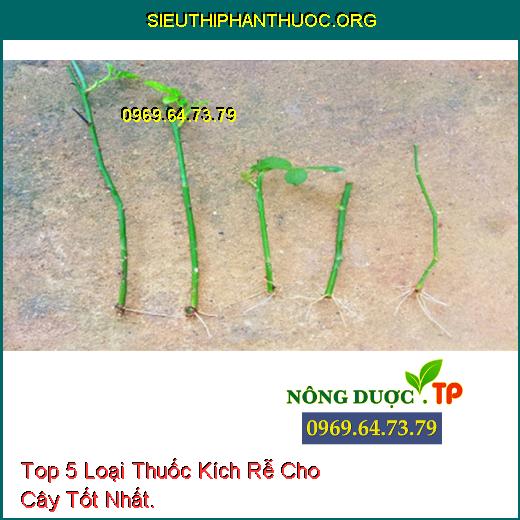 Top 5 Loại Thuốc Kích Rễ Cho Cây Tốt Nhất.