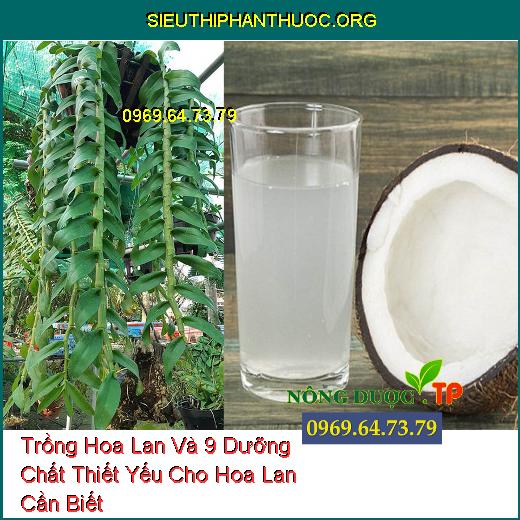 Trồng Hoa Lan Và 9 Dưỡng Chất Thiết Yếu Cho Hoa Lan Cần Biết