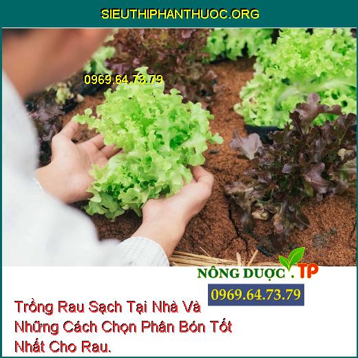 Trồng Rau Sạch Tại Nhà Và Những Cách Chọn Phân Bón Tốt Nhất Cho Rau.