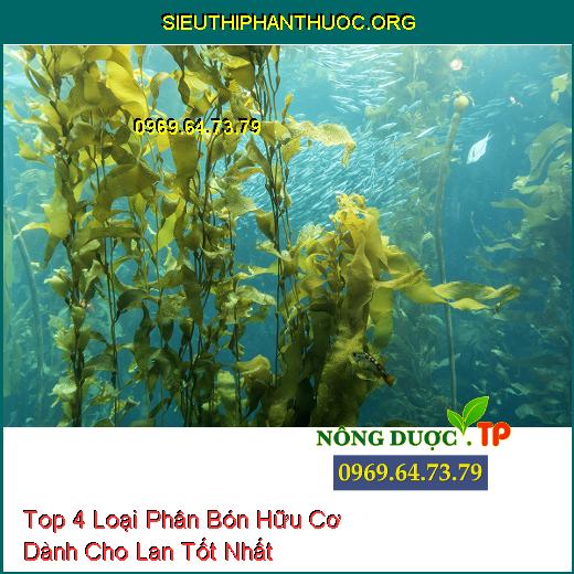 Top 4 Loại Phân Bón Hữu Cơ Dành Cho Lan Tốt Nhất