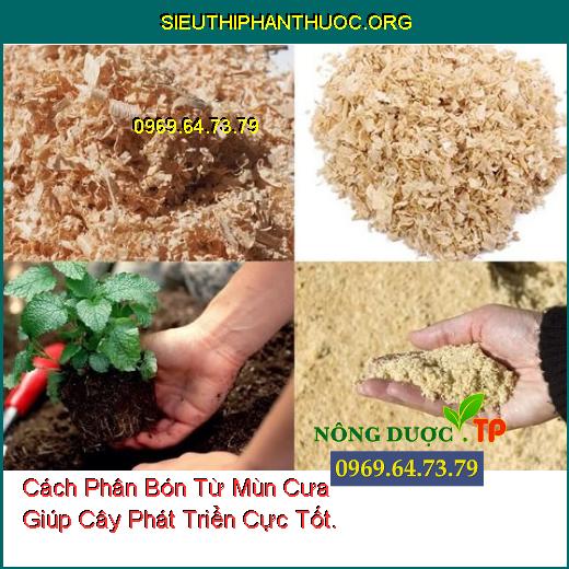 Cách Phân Bón Từ Mùn Cưa Giúp Cây Phát Triển Cực Tốt.