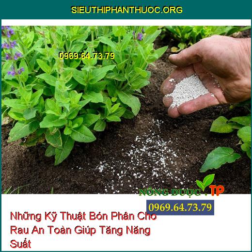 Những Kỹ Thuật Bón Phân Cho Rau An Toàn Giúp Tăng Năng Suất