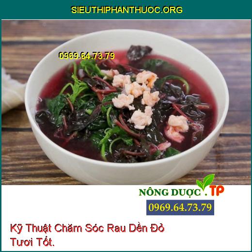 Kỹ Thuật Chăm Sóc Rau Dền Đỏ Tươi Tốt.