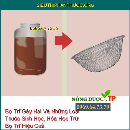 Bọ Trĩ Gây Hại Và Những Loại Thuốc Sinh Học, Hóa Học Trừ Bọ Trĩ Hiệu Quả.