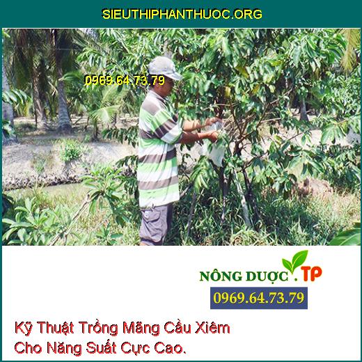 Kỹ Thuật Trồng Mãng Cầu Xiêm Cho Năng Suất Cực Cao.