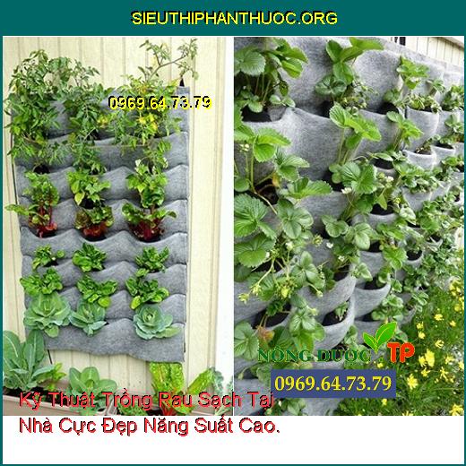 Kỹ Thuật Trồng Rau Sạch Tại Nhà Cực Đẹp Năng Suất Cao.