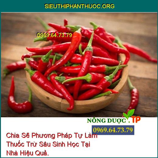 Chia Sẽ Phương Pháp Tự Làm Thuốc Trừ Sâu Sinh Học Tại Nhà Hiệu Quả.