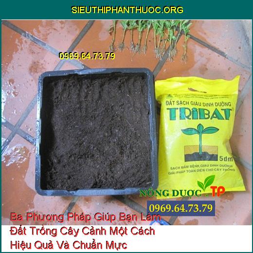 Dùng đất sạch Tribat 5dm3 làm đất trồng cây cảnh hiệu quả