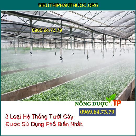 3 Loại Hệ Thống Tưới Cây Được Sử Dụng Phổ Biến Nhất.