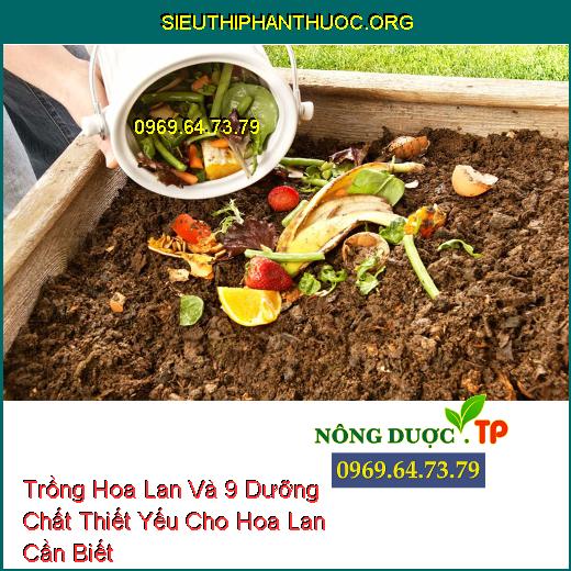 Trồng Hoa Lan Và 9 Dưỡng Chất Thiết Yếu Cho Hoa Lan Cần Biết