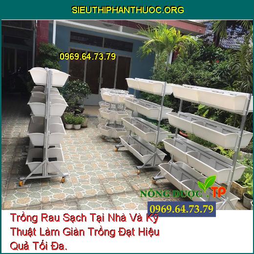 Trồng Rau Sạch Tại Nhà Và Kỹ Thuật Làm Giàn Trồng Đạt Hiệu Quả Tối Đa.