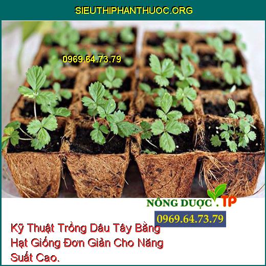 Kỹ Thuật Trồng Dâu Tây Bằng Hạt Giống Đơn Giản Cho Năng Suất Cao.