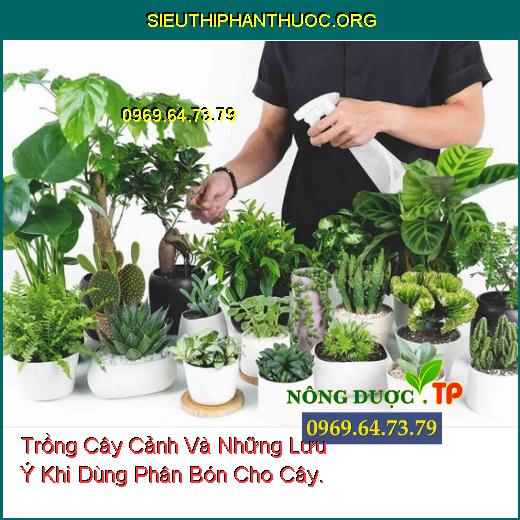 Trồng Cây Cảnh Và Những Lưu Ý Khi Dùng Phân Bón Cho Cây.