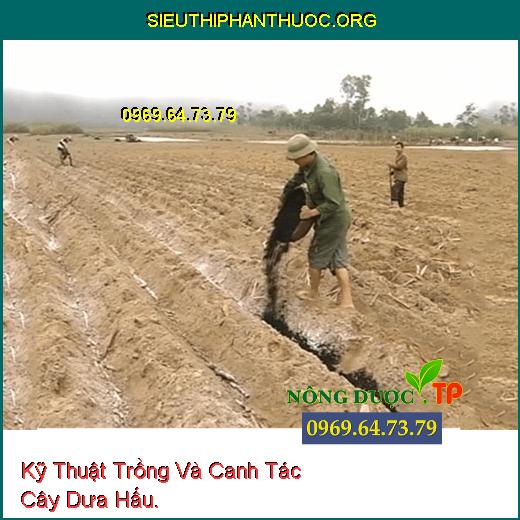 Kỹ Thuật Trồng Và Canh Tác Cây Dưa Hấu.