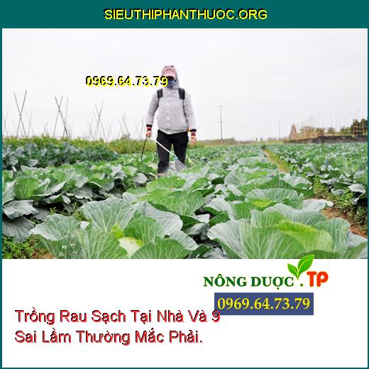 Trồng Rau Sạch Tại Nhà Và 9 Sai Lầm Thường Mắc Phải.