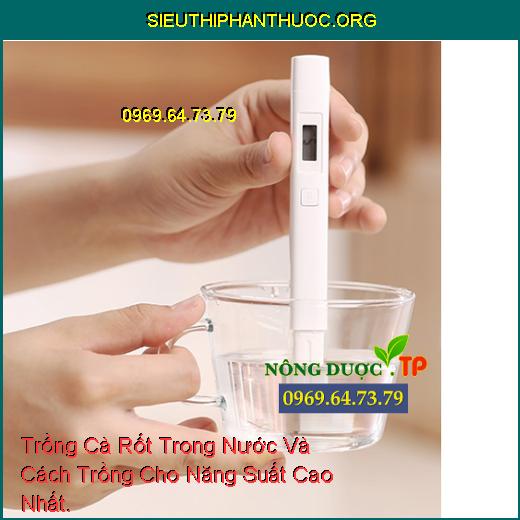 Trồng Cà Rốt Trong Nước Và Cách Trồng Cho Năng Suất Cao Nhất.