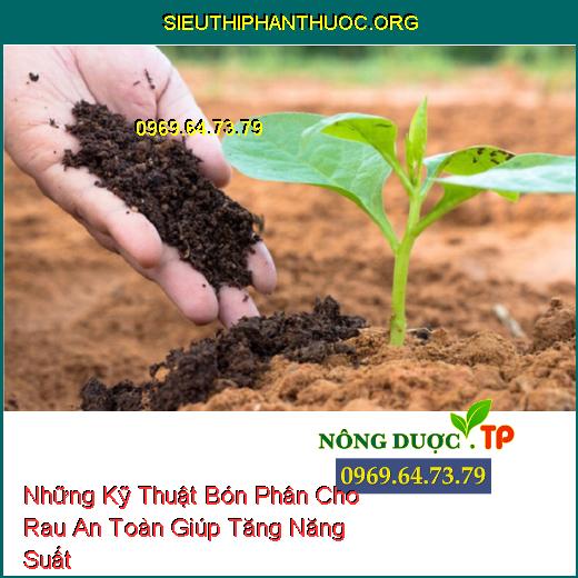 Những Kỹ Thuật Bón Phân Cho Rau An Toàn Giúp Tăng Năng Suất