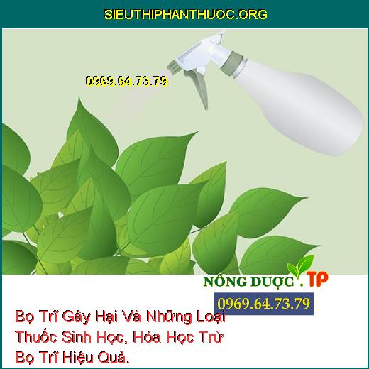 Bọ Trĩ Gây Hại Và Những Loại Thuốc Sinh Học, Hóa Học Trừ Bọ Trĩ Hiệu Quả.