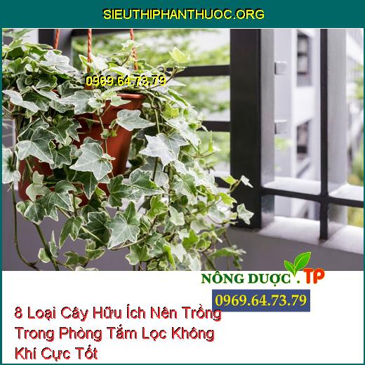 8 Loại Cây Hữu Ích Nên Trồng Trong Phòng Tắm Lọc Không Khí Cực Tốt