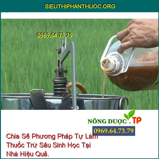 Chia Sẽ Phương Pháp Tự Làm Thuốc Trừ Sâu Sinh Học Tại Nhà Hiệu Quả.