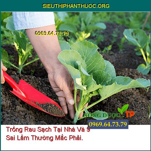 Trồng Rau Sạch Tại Nhà Và 9 Sai Lầm Thường Mắc Phải.