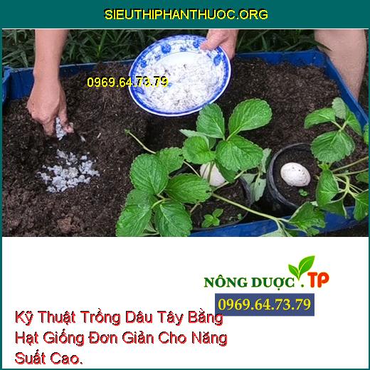 Kỹ Thuật Trồng Dâu Tây Bằng Hạt Giống Đơn Giản Cho Năng Suất Cao.