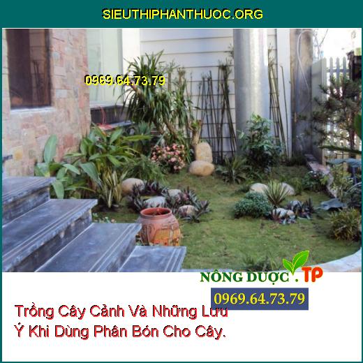 Trồng Cây Cảnh Và Những Lưu Ý Khi Dùng Phân Bón Cho Cây.