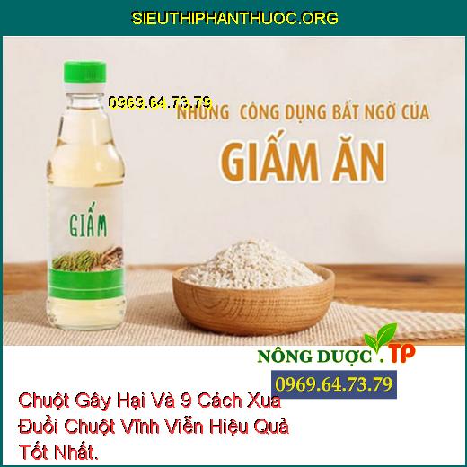 Chuột Gây Hại Và 9 Cách Xua Đuổi Chuột Vĩnh Viễn Hiệu Quả Tốt Nhất.