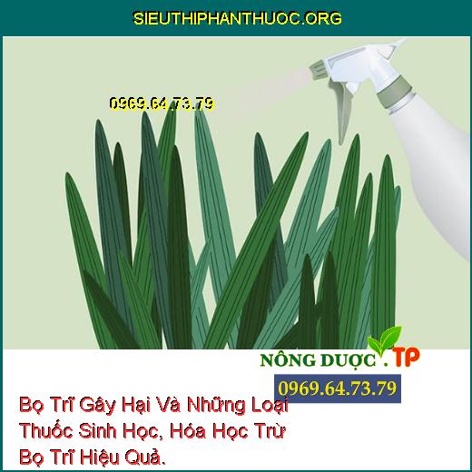 Bọ Trĩ Gây Hại Và Những Loại Thuốc Sinh Học, Hóa Học Trừ Bọ Trĩ Hiệu Quả.