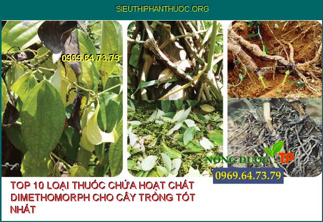 Top 10 Những loại thuốc có chứa hoạt chất Dimethomorph . P.1