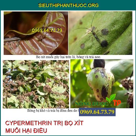 CYPERMETHRIN