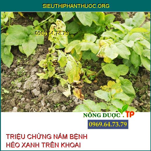 NẤM BỆNH